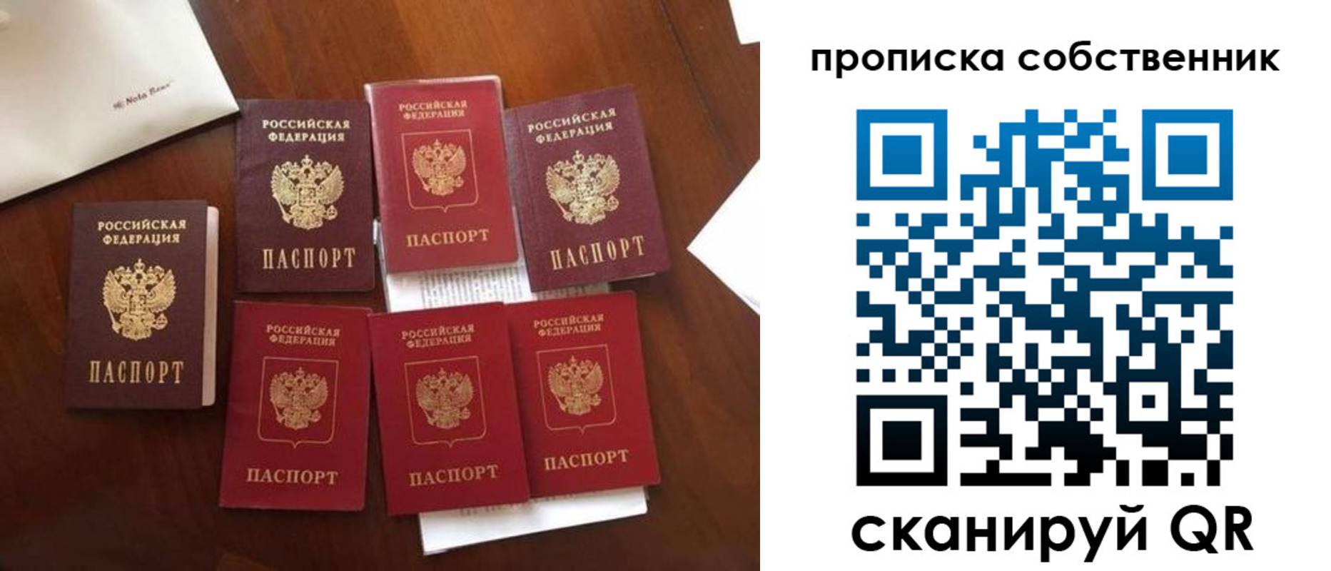 прописка для школы в Сураже